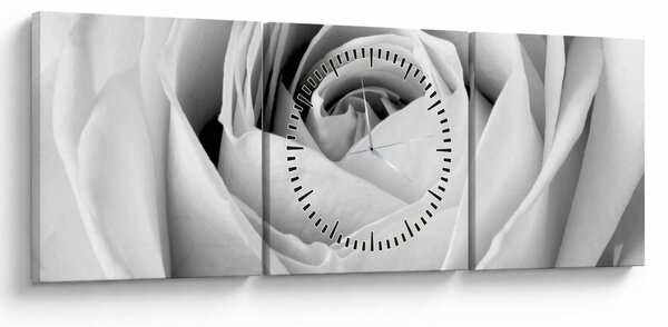 Obraz - Detal kwiatu róży (z zegarem) (90x30 cm)