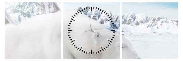 Obraz - Niedźwiedź polarny (z zegarem) (90x30 cm)