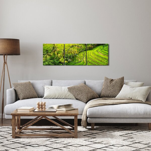 Obraz - Pola ryżowe (z zegarem) (90x30 cm)