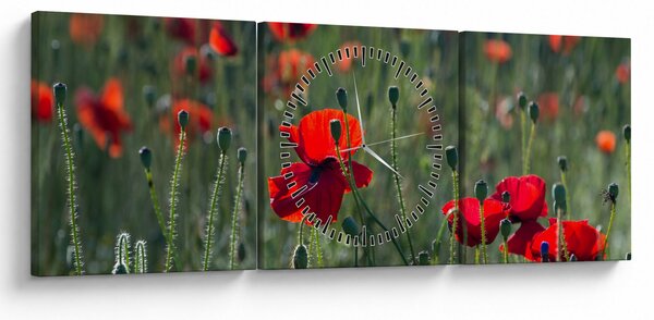 Obraz - Łąka z makami (z zegarem) (90x30 cm)