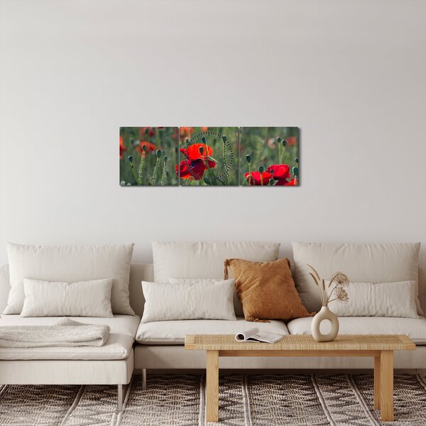 Obraz - Łąka z makami (z zegarem) (90x30 cm)