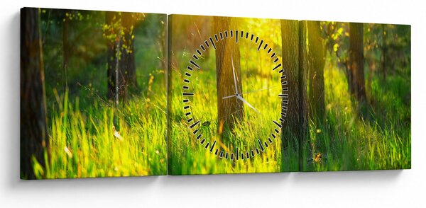 Obraz - Wiosenne przebudzenie lasu (z zegarem) (90x30 cm)