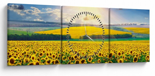Obraz - Pole słoneczników (z zegarem) (90x30 cm)