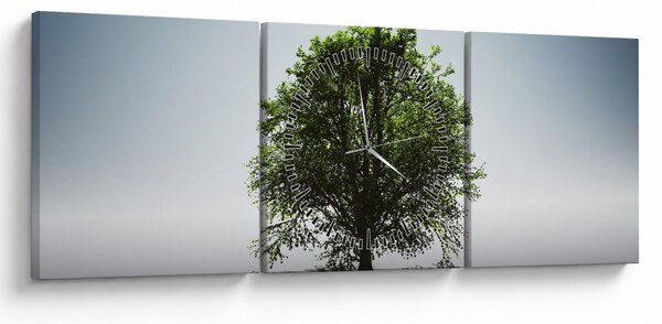 Obraz - Samotne drzewo (z zegarem) (90x30 cm)