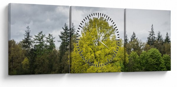 Obraz zielonego drzewa na środku pola (z zegarem) (90x30 cm)