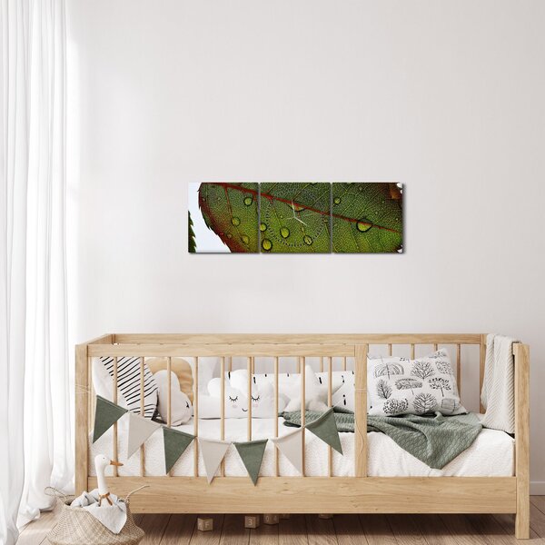 Obraz - Liść róży (z zegarem) (90x30 cm)