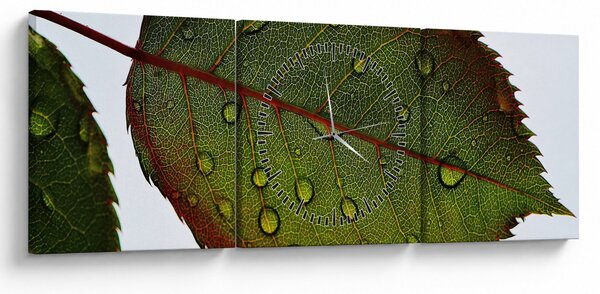 Obraz - Liść róży (z zegarem) (90x30 cm)
