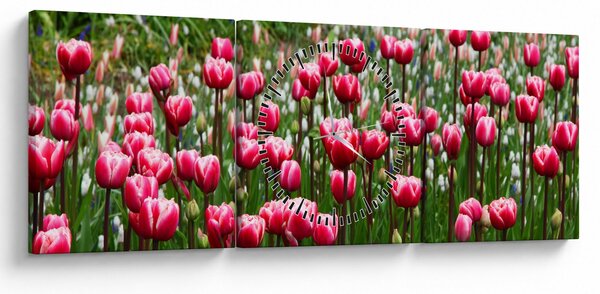 Obraz tulipanów (z zegarem) (90x30 cm)