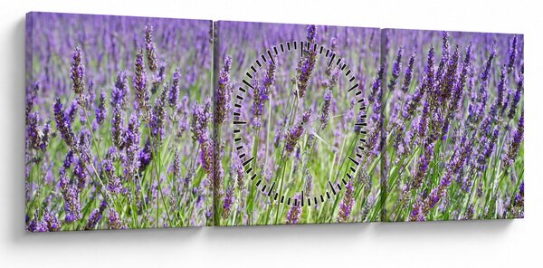 Obraz pola z lawendą (z zegarem) (90x30 cm)