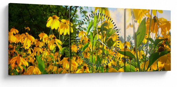 Obraz żółtych kwiatów (z zegarem) (90x30 cm)