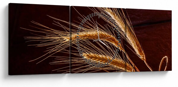 Obraz - Fragment kłosa żyta (z zegarem) (90x30 cm)