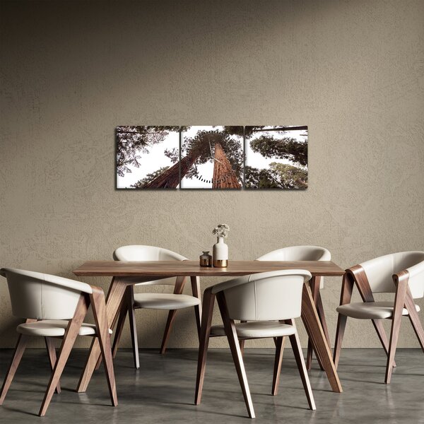 Obraz - Widok przez korony drzew (z zegarem) (90x30 cm)