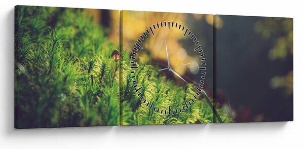 Obraz mchu z grzybem (z zegarem) (90x30 cm)