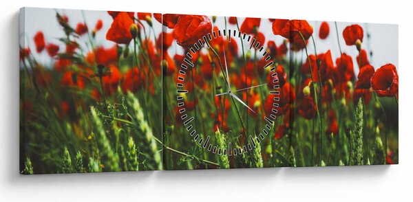 Obraz maków na wietrze (z zegarem) (90x30 cm)