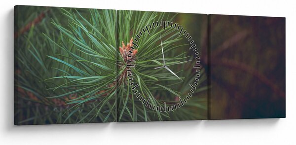 Obraz - Detal sosny (z zegarem) (90x30 cm)