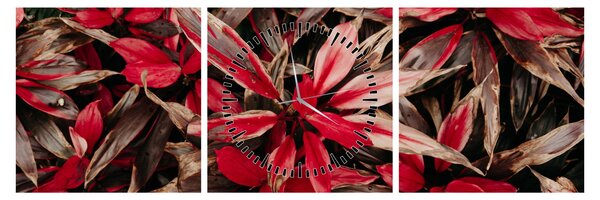 Obraz czerwonych płatków (z zegarem) (90x30 cm)