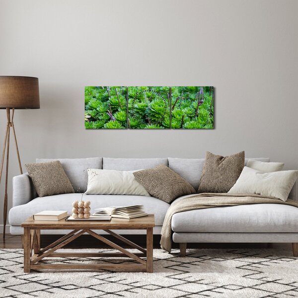 Obraz sukulentów (z zegarem) (90x30 cm)