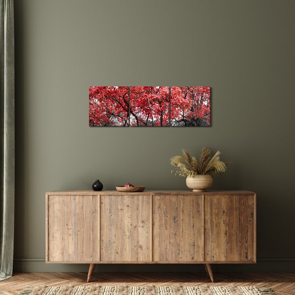 Obraz - Czerwone drzewa, Central Park, New York (z zegarem) (90x30 cm)