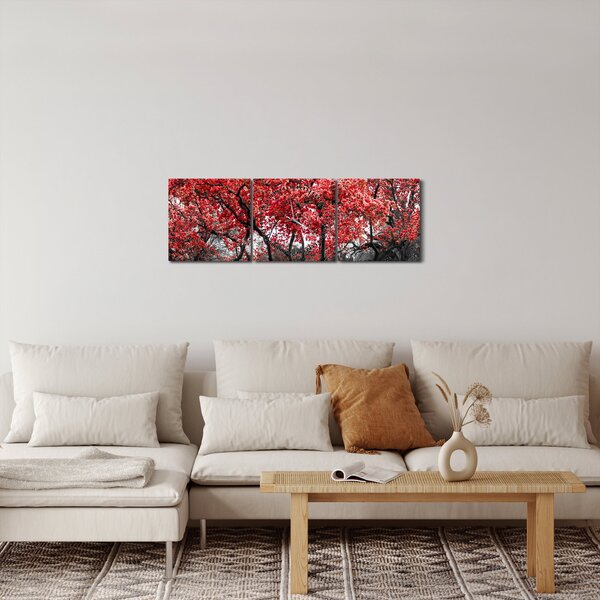 Obraz - Czerwone drzewa, Central Park, New York (z zegarem) (90x30 cm)