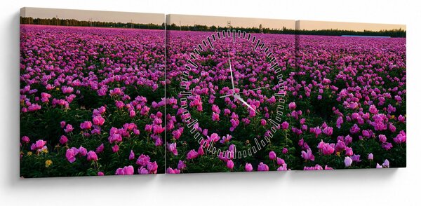 Obraz - Łąka fioletowych tulipanów (z zegarem) (90x30 cm)