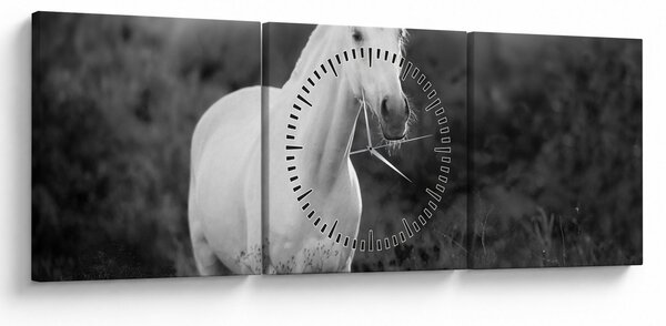 Obraz białego konia na łące, czarno - biały (z zegarem) (90x30 cm)