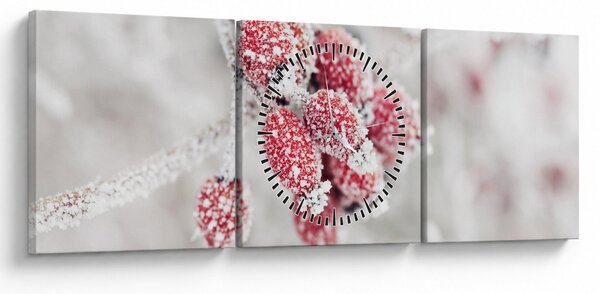 Obraz - Mrożone owoce (z zegarem) (90x30 cm)