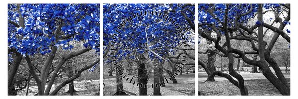 Obraz - Niebieskie drzewa, Central Park, New York (z zegarem) (90x30 cm)