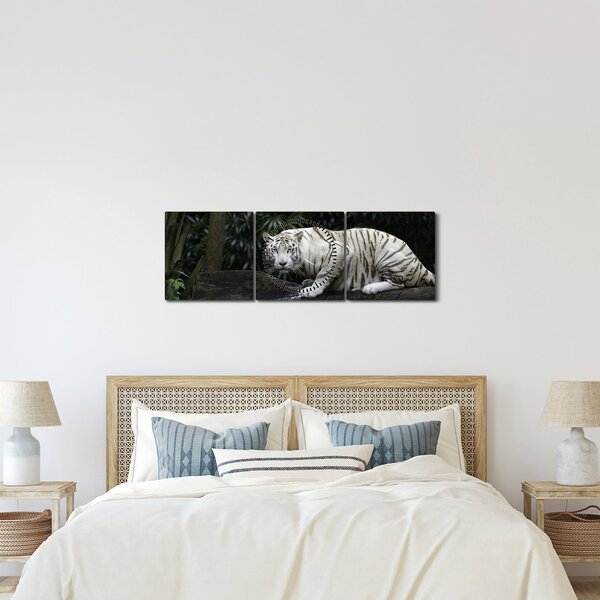 Obraz - Tygrys albinos (z zegarem) (90x30 cm)