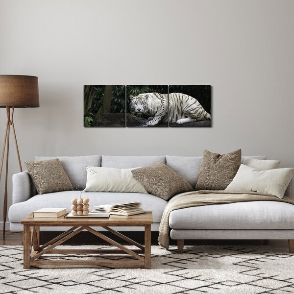 Obraz - Tygrys albinos (z zegarem) (90x30 cm)