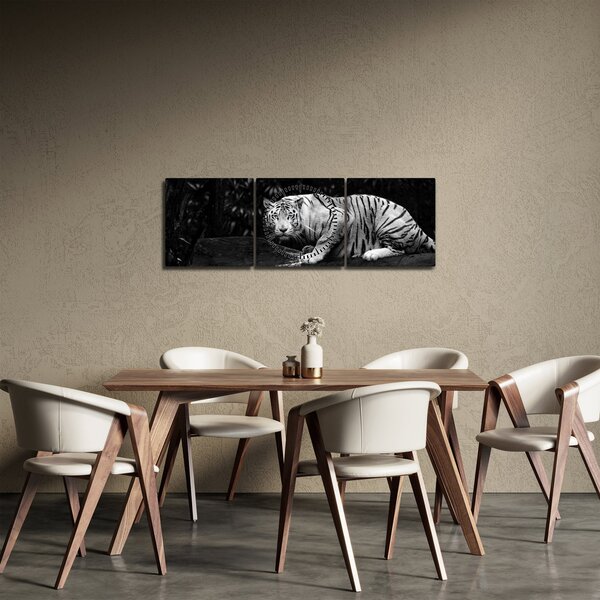 Obraz - Tygrys albinos, czarno - biały (z zegarem) (90x30 cm)