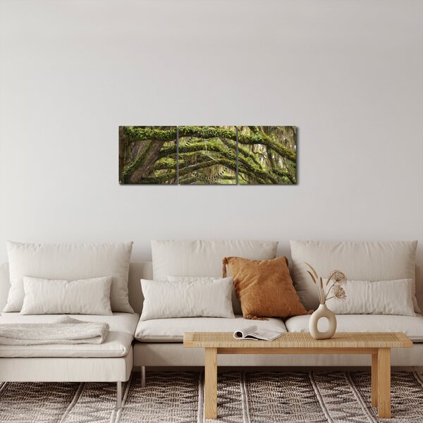 Obraz - Oaks Avenue, Charleston, Karolina Południowa, USA (z zegarem) (90x30 cm)