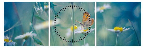 Obraz - Motyl na stokrotce (z zegarem) (90x30 cm)