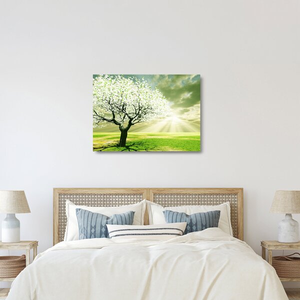 Obraz na szkle - kwitnące drzewo (70x50 cm)