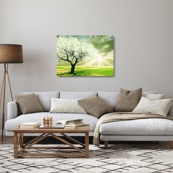 Obraz na szkle - kwitnące drzewo (70x50 cm)