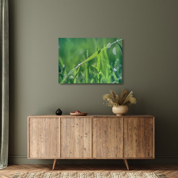 Obraz na szkle - kropla rosy (70x50 cm)