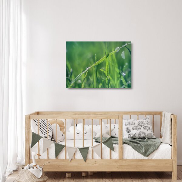Obraz na szkle - kropla rosy (70x50 cm)