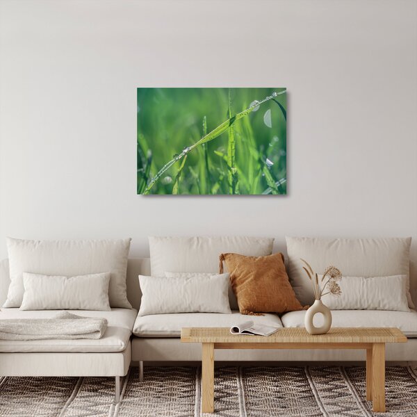 Obraz na szkle - kropla rosy (70x50 cm)