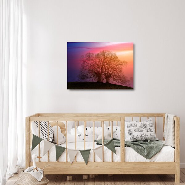 Obraz na szkle - drzewa we mgle (70x50 cm)