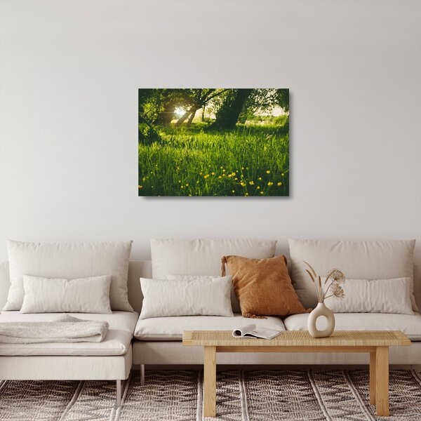 Obraz na szkle - natura - łąka (70x50 cm)