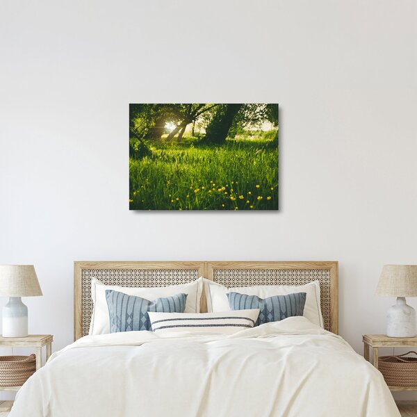 Obraz na szkle - natura - łąka (70x50 cm)