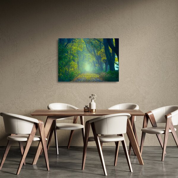 Obraz na szkle - droga wysadzana drzewami (70x50 cm)