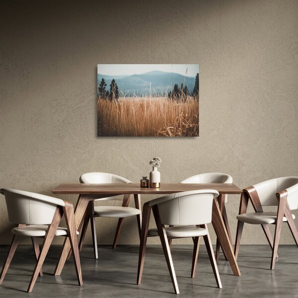 Obraz na szkle - szczegół łąki (70x50 cm)