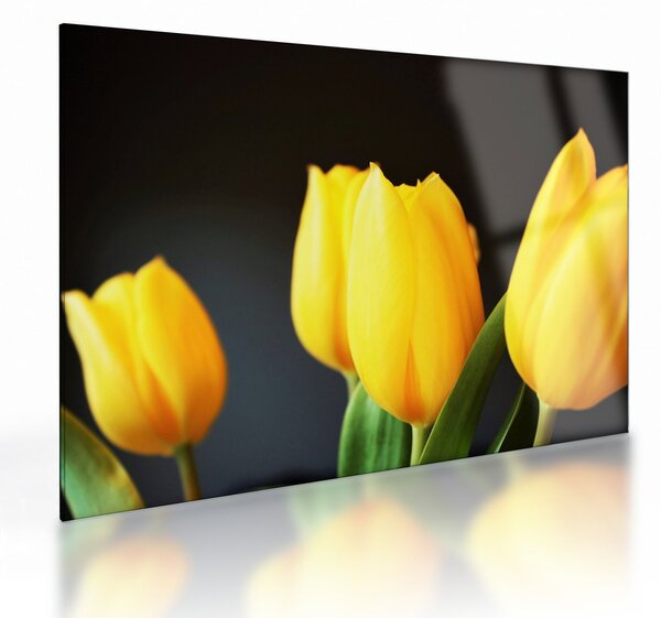Obraz na szkle - tulipany (70x50 cm)