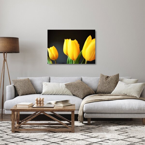 Obraz na szkle - tulipany (70x50 cm)