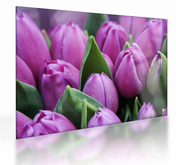 Obraz na szkle - kwiaty tulipanów (70x50 cm)