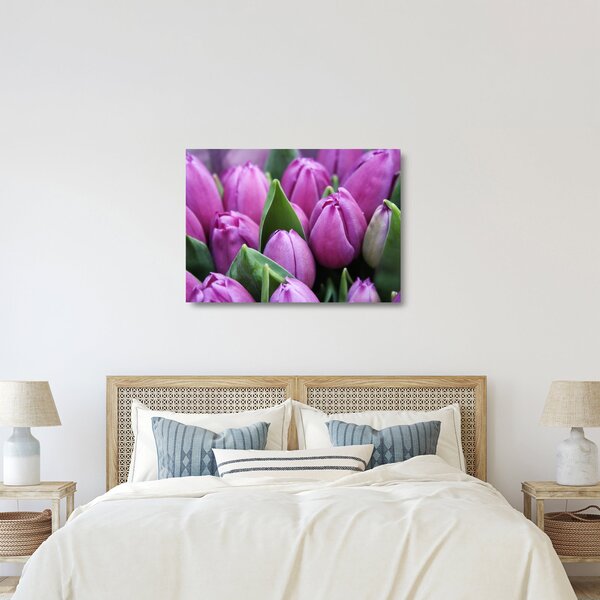 Obraz na szkle - kwiaty tulipanów (70x50 cm)