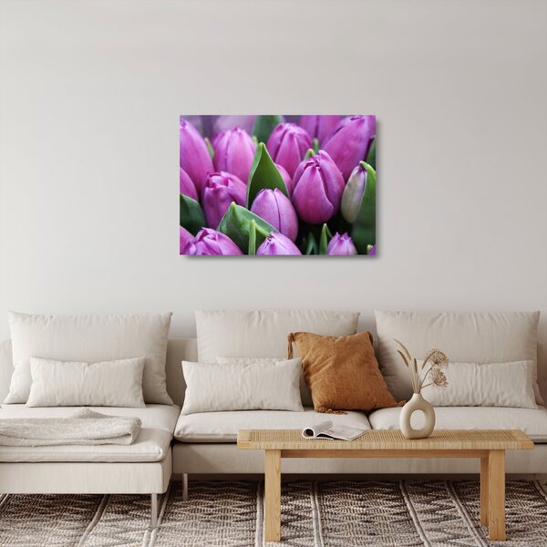 Obraz na szkle - kwiaty tulipanów (70x50 cm)