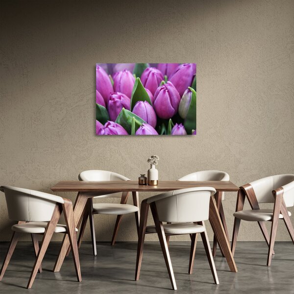 Obraz na szkle - kwiaty tulipanów (70x50 cm)