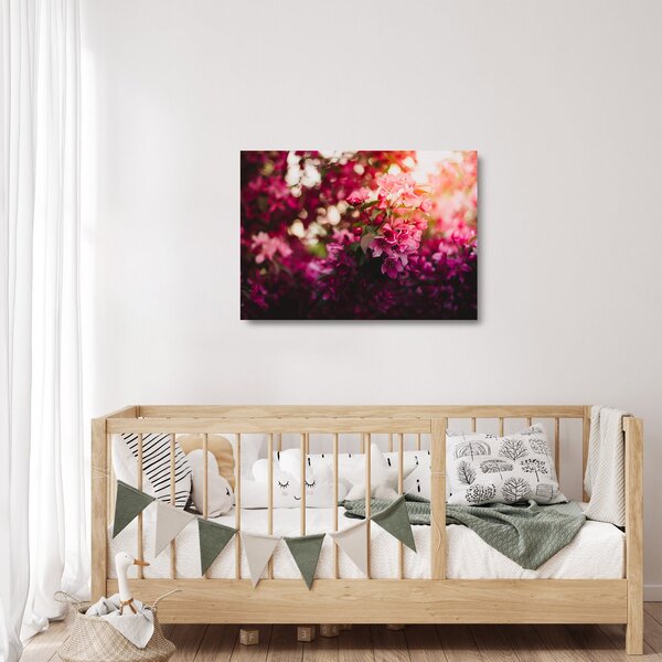 Obraz na szkle - kwiaty malwy (70x50 cm)
