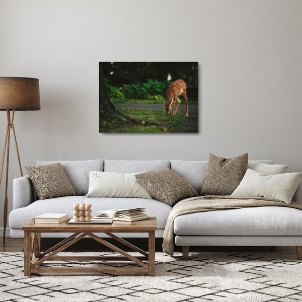 Obraz na szkle - wizerunek jelonka (70x50 cm)
